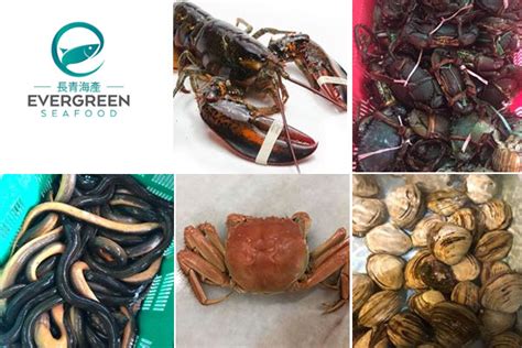 online seafood delivery singapore|Evergreen Seafood Singapore Supplier (Live, Fresh .
